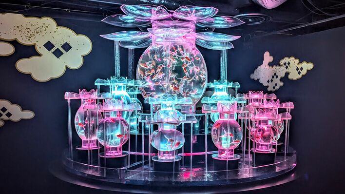 夏の粋な涼体験！】特別企画開催中の「アートアクアリウム美術館 GINZA