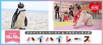 10月10日は赤ちゃんの日。ペンギンのよちよち歩きが開会宣言？！ 「アドベンチャーワールド＆アカチャンホンポ」ハイハイレース初開催！～アニマルウェアを着た赤ちゃん25組が大奮闘～