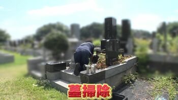 【猛暑の中】お墓掃除・猫探し…様々な代行サービスに依頼殺到！暑さと戦いながら働くプロのサービス裏側に密着　
