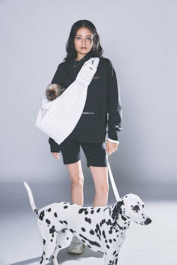 STANDING ON THE BLUEより、愛犬とのお出かけを快適にする新作キャリーバッグが登場