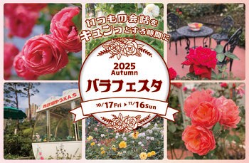 【西武園ゆうえんち】西武園ゆうえんち　昭和１００年大祭典『秋のバラフェスタ』【２０２５年１０月１７日（金）～１１月１６日（日）開催】