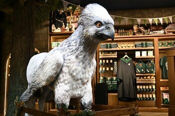 日本初旗艦店『ハリー・ポッター ショップ 原宿』を一足早く取材！テーマは「禁じられた森」映画の世界観を味わえる“限定グッズ＆フード”が登場