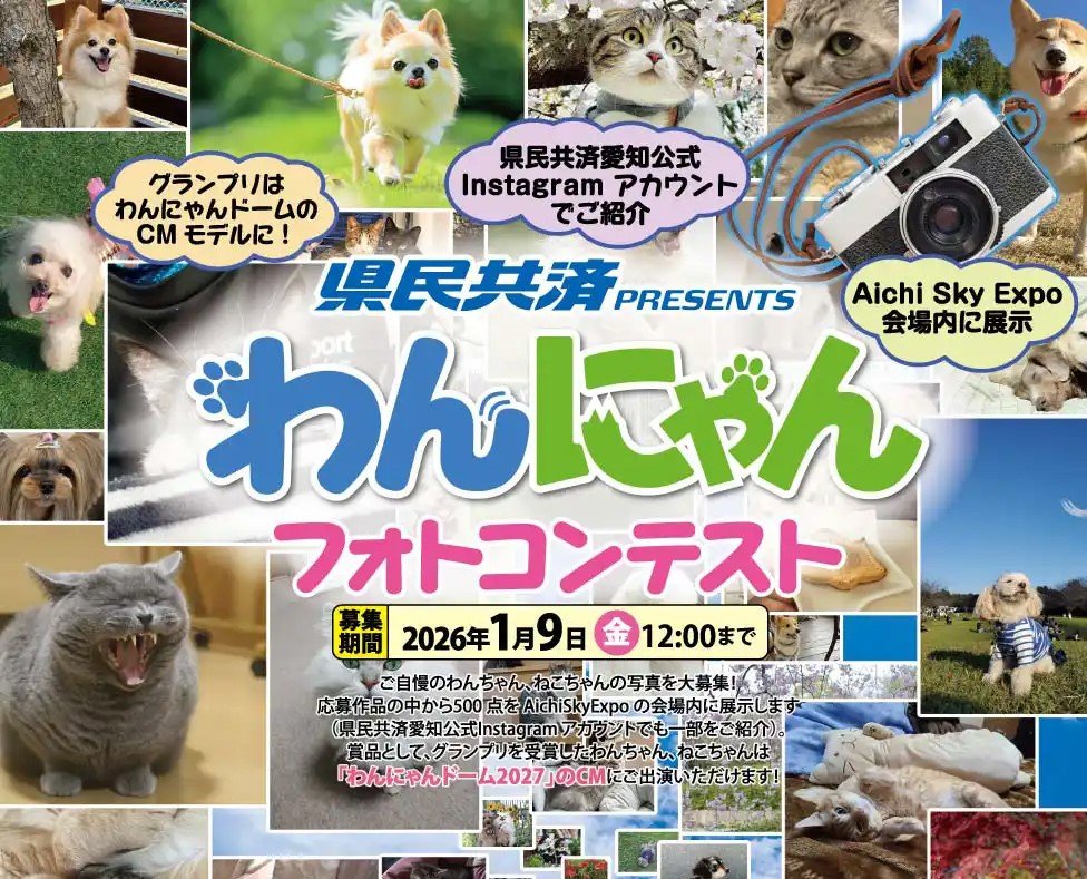 愛するわんちゃん・ねこちゃんがCMデビューのチャンス！「県民共済