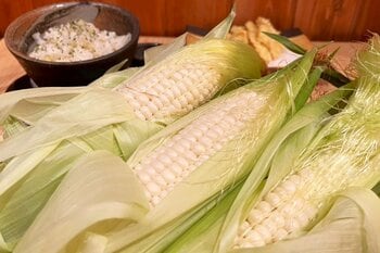 「とうもろこしの概念が変わる」糖度20度超えの雪の妖精の期間限定メニューが登場！｜純国産馬刺しと朝引き鶏 にほんいち 大阪堺筋本町店