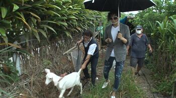 GACKTが幼少期を過ごした沖縄県大宜味村に爆買い恩返し！軽トラ運転、子ヤギ購入…ついには沖縄なまりが