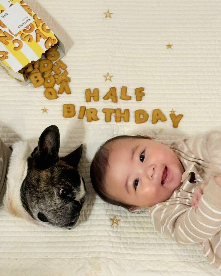 あげへんのかい！笑」赤ちゃんに遊ばれるフレンチ・ブルドッグに思わず