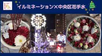 【相模原市中央区】～中央区誕生１５周年記念～『イルミネーション×中央区花手水』を実施！