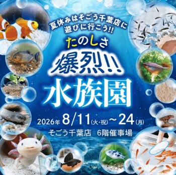 【そごう千葉店】猛暑でも快適、涼しい百貨店で水族園体験