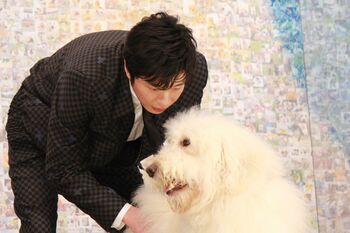 田中圭、俳優犬・ベックとの撮影を振り返る「俺を振り切れると思うなよ！」