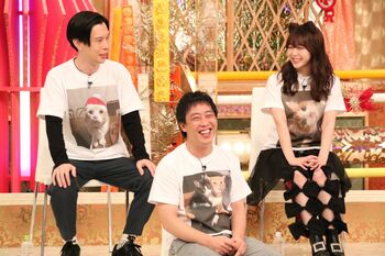 ドーパミンの影響！？「猫好きは結婚に向いていない」に、猫デキ愛芸能人たちの反応は？