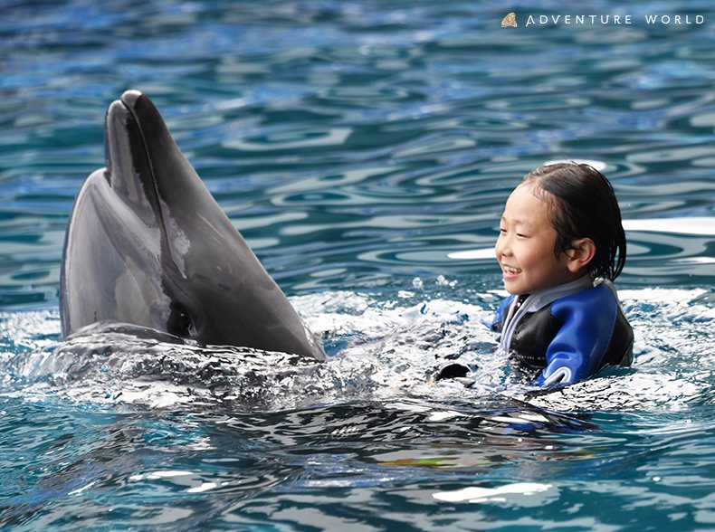 img_34254a89883d678098bf7711cc