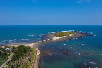 宮崎空港・青島間を直行でつなぐシャトルバスを運行します!