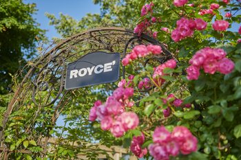 【ロイズ】7月にかけて見頃！入園無料で様々なお花を楽しめるローズガーデンのバラが最盛期を迎えています。