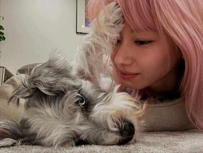 【画像13枚】「義兄宅ですか！」ピンク髪に大胆イメチェンした山本舞香がわんこと戯れる姿を見る