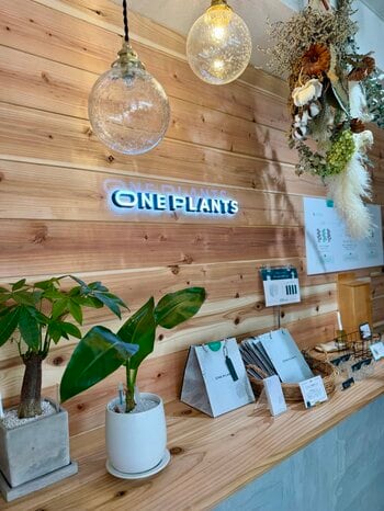 東京都北区東十条に“そのまま飾れる”観葉植物を提供する、無人の観葉植物ショップ（ONE PLANTS）が9/26（土）にNEWオープン！