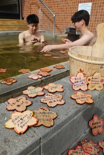 お丸山ホテル、春爛漫のさくら市で「桜プロジェクト」開始。さくら市ならではの桜風呂を「日本三大美肌の湯」喜連川温泉で提供。