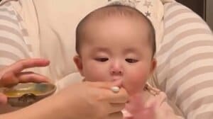 「いいお顔しますねぇ」生後6ヵ月の赤ちゃんが人生初トマト挑戦で表情が一変！？愛らしいリアクションに「完全に人生一周目」と反響【激かわキッズ奇跡の瞬間】