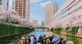 【2026年お花見】目黒川の桜を「水上の特等席」で。グッドデザイン賞受賞船でのBARクルーズや貸切プランが登場｜予約受付開始