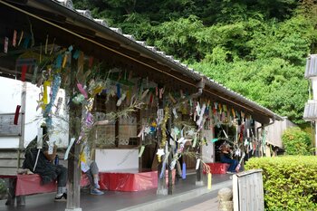 「柏屋のたなばた夕涼み」を開催します