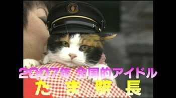 【全国的アイドル】18年前和歌山・貴志川線の廃線危機を救ったネコ「たま駅長」は今？受け継ぐ「ニタマ」「よんたま」「ごたま」も大人気！