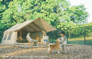 【茨城県常総市】愛犬と泊まれるサイトを設置。RECAMP常総に「中・小型犬専用」160平方メートル ドッグランサイト誕生
