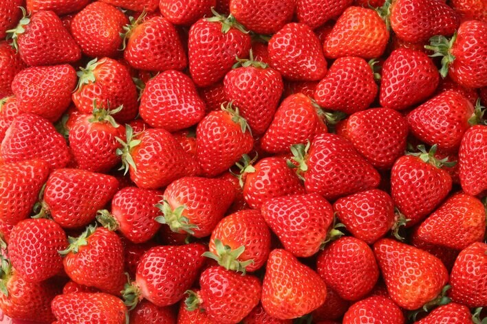 【新宿高島屋】いまが旬のおいしい「いちご」が、９つの県から集まります！　「～かわいくておいしい、至福のいちご時間～ストロベリー・バレンタイン」開催！