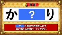 【おめざめ脳トレ】「？」に海の生き物を入れて、体に現れる症状にしてください【『クイズ！脳ベルSHOW』より】