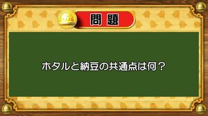 【おめざめ脳トレ】なぞなぞ！ホタルと納豆の共通点は何でしょうか？【『クイズ！脳ベルSHOW』より】