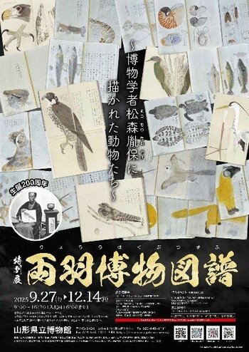 山形県立博物館　令和7年度特別展「両羽博物図譜～博物学者松森胤保に描かれた動物たち～」開催決定！2025年9月27日（土）～2025年12月14日（日）