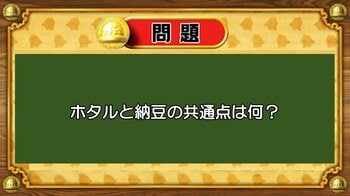 【おめざめ脳トレ】なぞなぞ！ホタルと納豆の共通点は何でしょうか？【『クイズ！脳ベルSHOW』より】