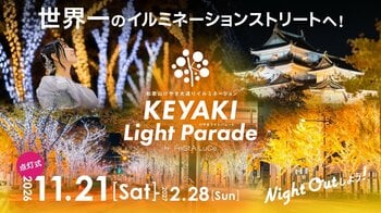日本一のイルミネーションストリート「けやきライトパレード by FeStA LuCe」、今年も和歌山で開催決定！「世界一」認定を目指し、点灯エリアをさらに拡大