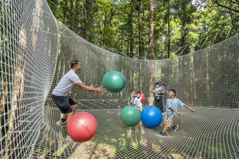 【鹿児島県初】樹上のネット内で遊ぶ“新体験” お子さまから大人まで家族みんなで樹上で遊ぼう！