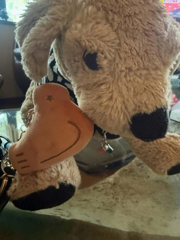 【画像9枚】「早朝からしぶしぶ…」飯島直子がエアコン掃除をした実家の和室などの写真を見る