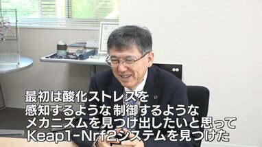 【絶版】夢・心・病気治療　山本建造 Amazon.co.jp: 夢・心・病気治療 : 山本 健造: Japanese Books