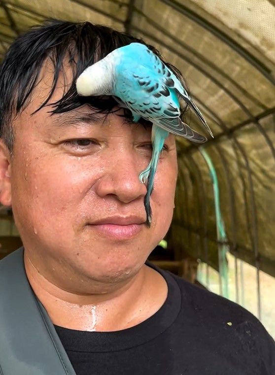 話題】ワイルドすぎて