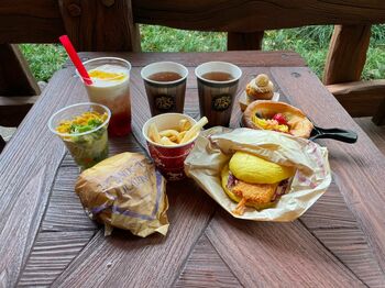 【写真93枚】ディズニー新エリア『ラプンツェル』レストラン メニュー実食＆スーベニア紹介レポート