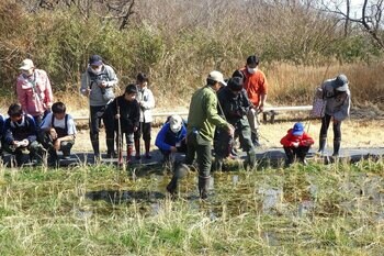「ニホンアカガエルの卵をさがそう」を開催します（国営ひたち海浜公園）