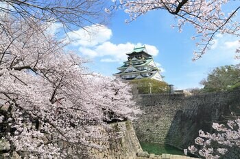 【1日5室限定】お部屋で”プライベートお花見”。ホテルで叶う、絶景＆美食の極上春ステイ
