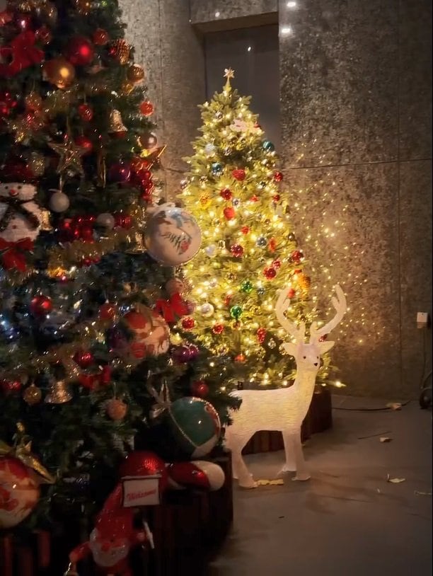 すんごい豪華」浜崎あゆみ 自宅の巨大クリスマスツリー2本を披露