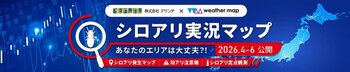ヤマトシロアリの活動が活発になる時期が到来　ウェザーマップ×シロアリ対策のアサンテ　羽アリの発生状況や警戒レベルが分かるシロアリ実況マップに今年も協力！