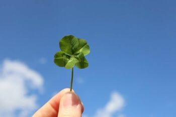 「ネガティブな感情もポジティブに」川村エミコの幸せな気持ちの作り方