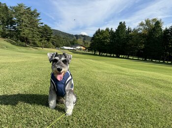 軽井沢 【晴山（せいざん）ゴルフ場】プリンスゴルフリゾート初となる新サービス愛犬とゆったりゴルフを楽しむ「ワンちゃん同伴ラウンド」を開始