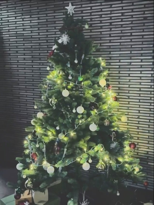 【画像5枚】「ご自宅に飾られて」氷川きよし こだわりのオーナメントで彩った豪華クリスマスツリーを見る