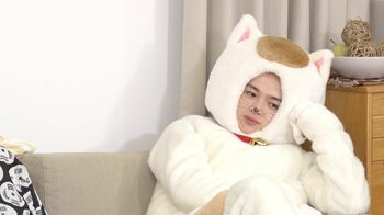 キスマイ玉森裕太、飼い主のために奮闘する…けなげな猫に！「撮影した後は充実の一日になる」