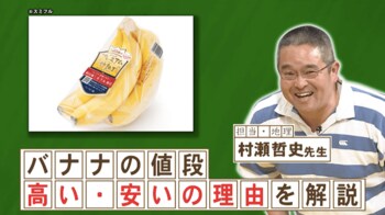 バナナの値段と標高の意外な関係とは？『ネプリーグ』で放送の＜豆知識＞