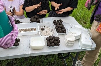 上板橋駅南口駅前「7のひろば」にタネを植えよう♪タネ植え＆読み聞かせイベント開催！