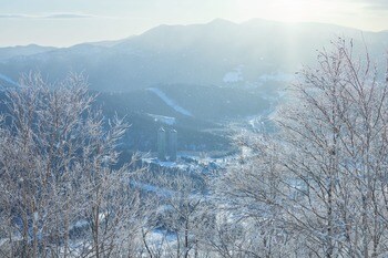 【トマム】氷点下の朝、気象条件が織りなす白銀の絶景に出会う。「霧氷テラス」2026年12月1日営業開始