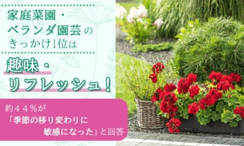 家庭菜園・ベランダ園芸のきっかけ1位は「趣味・リフレッシュ」！約44%が「季節の移り変わりに敏感になった」と回答