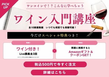 【ヴィノテラス】ワンコインでこんなに学べる！ワイン入門講座