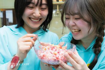 【千葉・香取】足湯なのにひんやり、熱波なのにメンソール。おふろcafe かりんの湯の夏企画「冷え冷え・納涼アイランド2026」7月1日より順次スタート